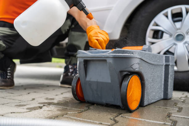Professional Tree Removal in Steilacoom, WA